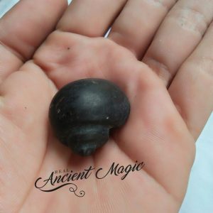 Magic Stone Snail Buntet