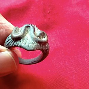 BLACK WORM RING