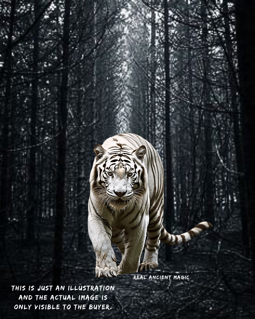 WHITE TIGER KHODAM COMPANION